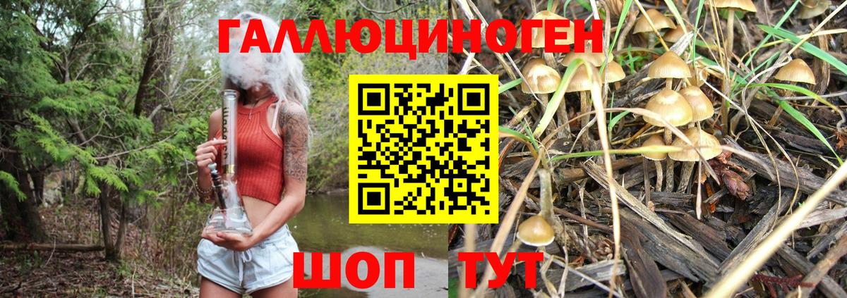 Галлюциногенные грибы ЛСД Ноябрьск